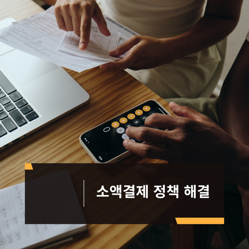 소액결제 정책 해결