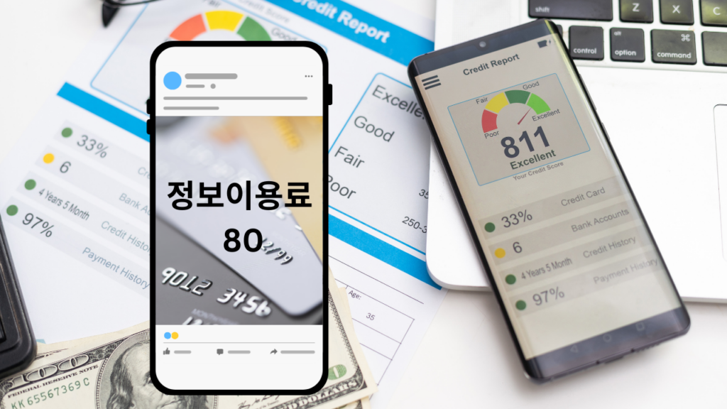 정보이용료 80